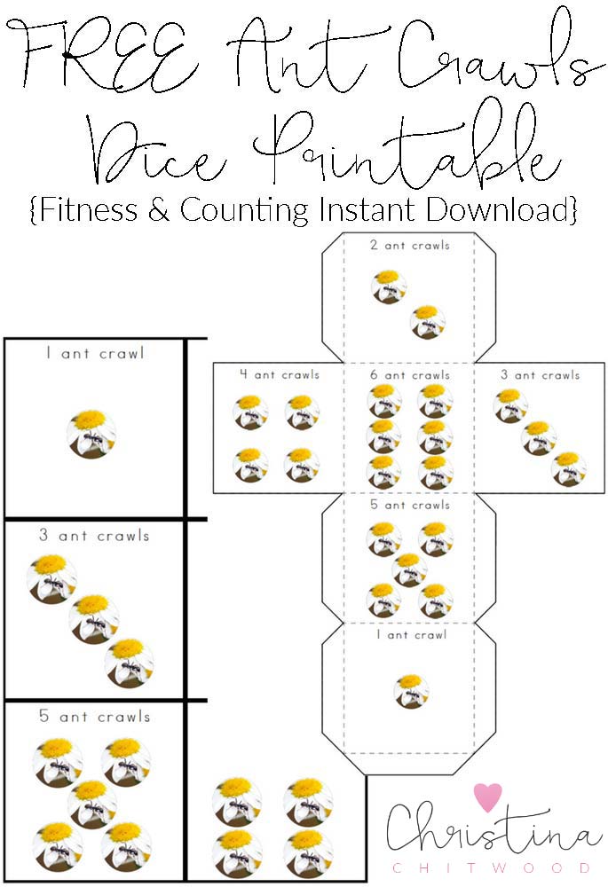 free-coin-wrappers-printable